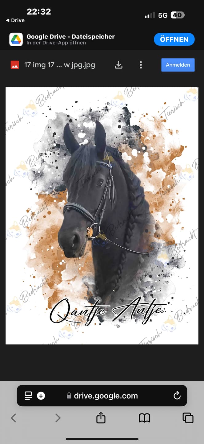 Customer photo review of Dein Pferd als Wasserfarben Portrait