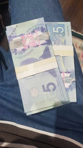 Customer photo review of Canadian Dollar CAD Banknotes Paper Play Money Movie Props