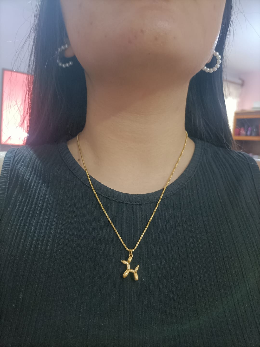 Customer photo review of Collar Doggy