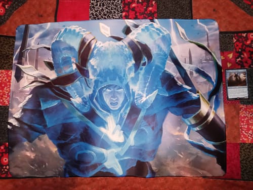 Customer photo review of Custom Size Playmat