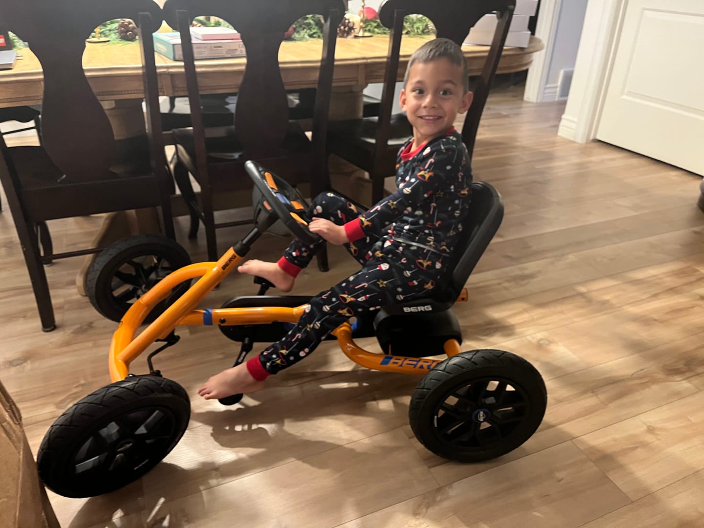 Customer photo review of BERG Buddy
