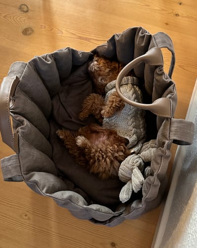 Customer photo review of Staey - Elva Hundetaske, Taupe