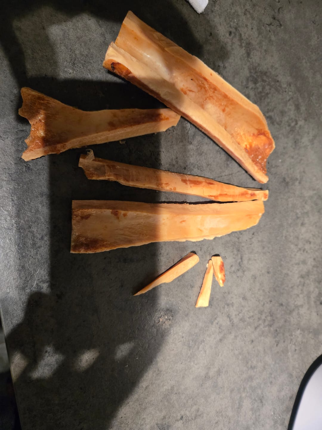 Customer photo review of 5-6 Inch Marrow Bone