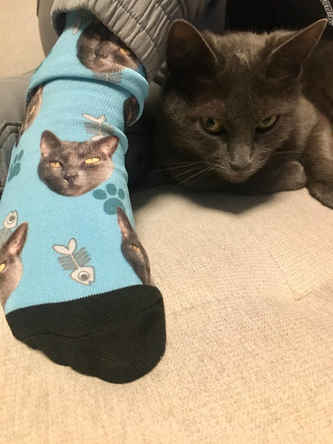 Customer photo review of FaceSock | Custom Cat Socks With Photo