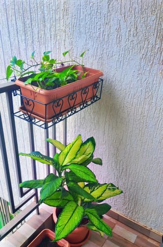 Customer photo review of UnitedCrafts Aster Railings Stand For Display of Multiple Plants Balcony Decoration