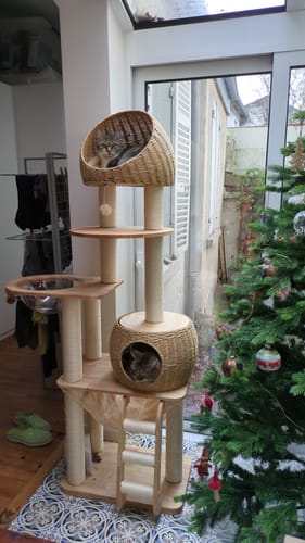 Customer photo review of Arbre à Chat - Jardin Whisker