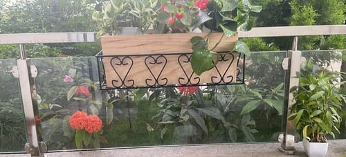 Customer photo review of UnitedCrafts Aster Railings Stand For Display of Multiple Plants Balcony Decoration