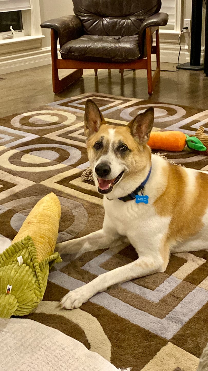 Customer photo review of 12 Inch Beef Jerky Stick