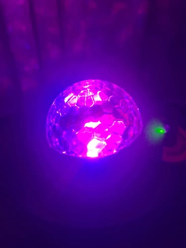 Customer photo review of Aurora Projector