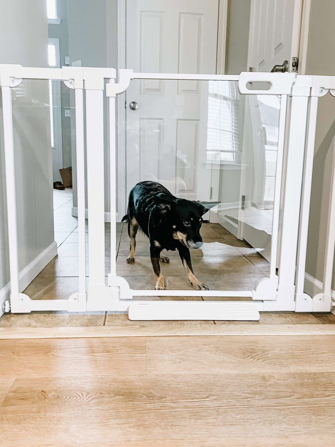 Customer photo review of FairyBaby 30" Tall Crystal Acrylic Pressure Mounted Dog Gate