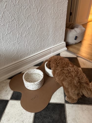 Customer photo review of Staey - 2 x Terrazzo Hundeskåle + Skåleunderlag