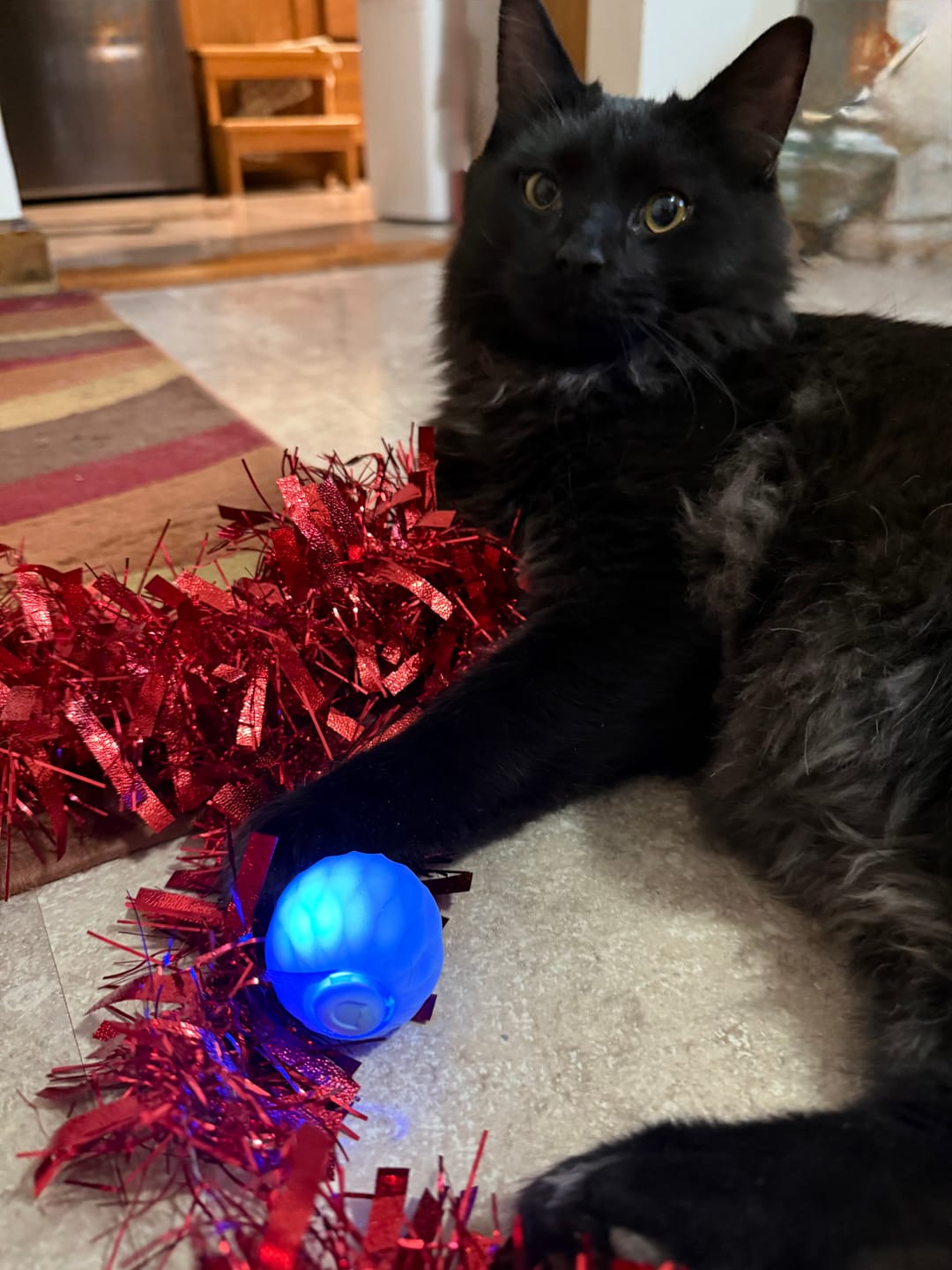 Customer photo review of POWER BALL 2.0