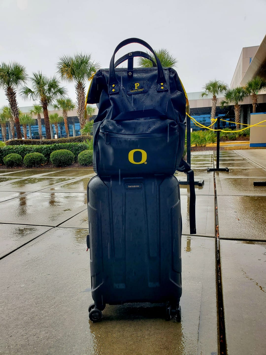 Customer photo review of Cascade Backpack - Standard - UO Ducks