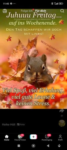 Customer photo review of Omega-3 Algenöl (100ml)