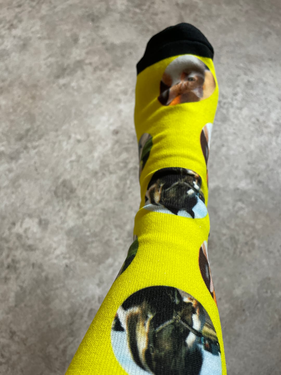Customer photo review of FaceSock | Personalised Socks With Photo