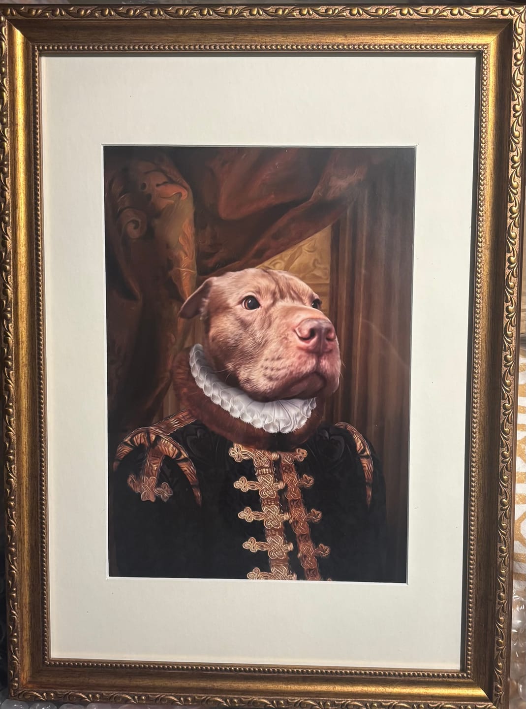 Customer photo review of The Count: Custom Pet Portrait