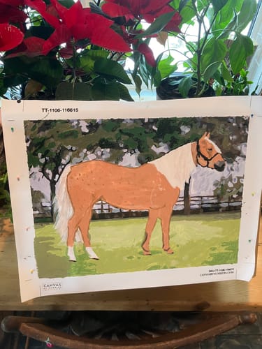 Customer photo review of Custom Paint by Numbers Kit for Personalized Artwork