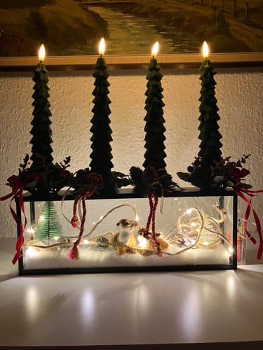 Customer photo review of LED juletræslys