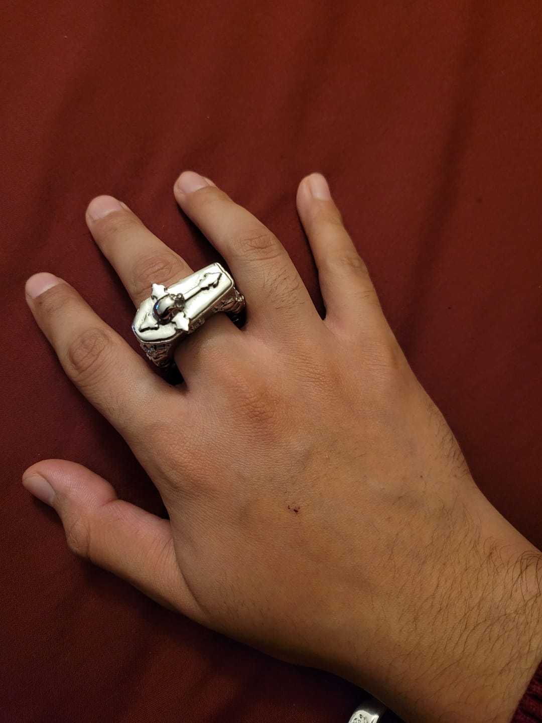 Customer photo review of DYT COFFIN RING