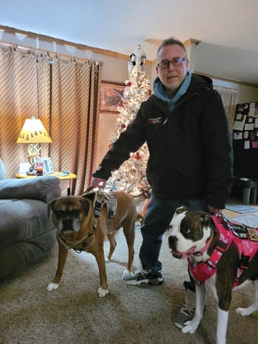 Customer photo review of NEW Upgraded Tactical No-Pull Team K9™ Dog Harness with 4 Quick-Release Metal Buckles, Reinforced Front & Back D-Rings, Hook & Loop Panels, Adjustable Straps, Reflective Strips, & Top Handle