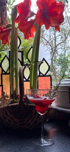 Customer photo review of Sparkling Rocco 750 ml