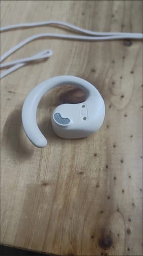 Customer photo review of TranslateBuds (iOS & Android)