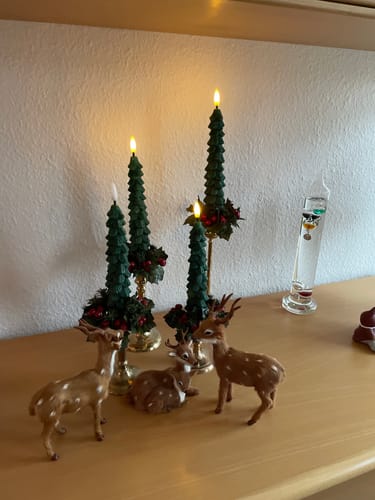 Customer photo review of LED juletræslys