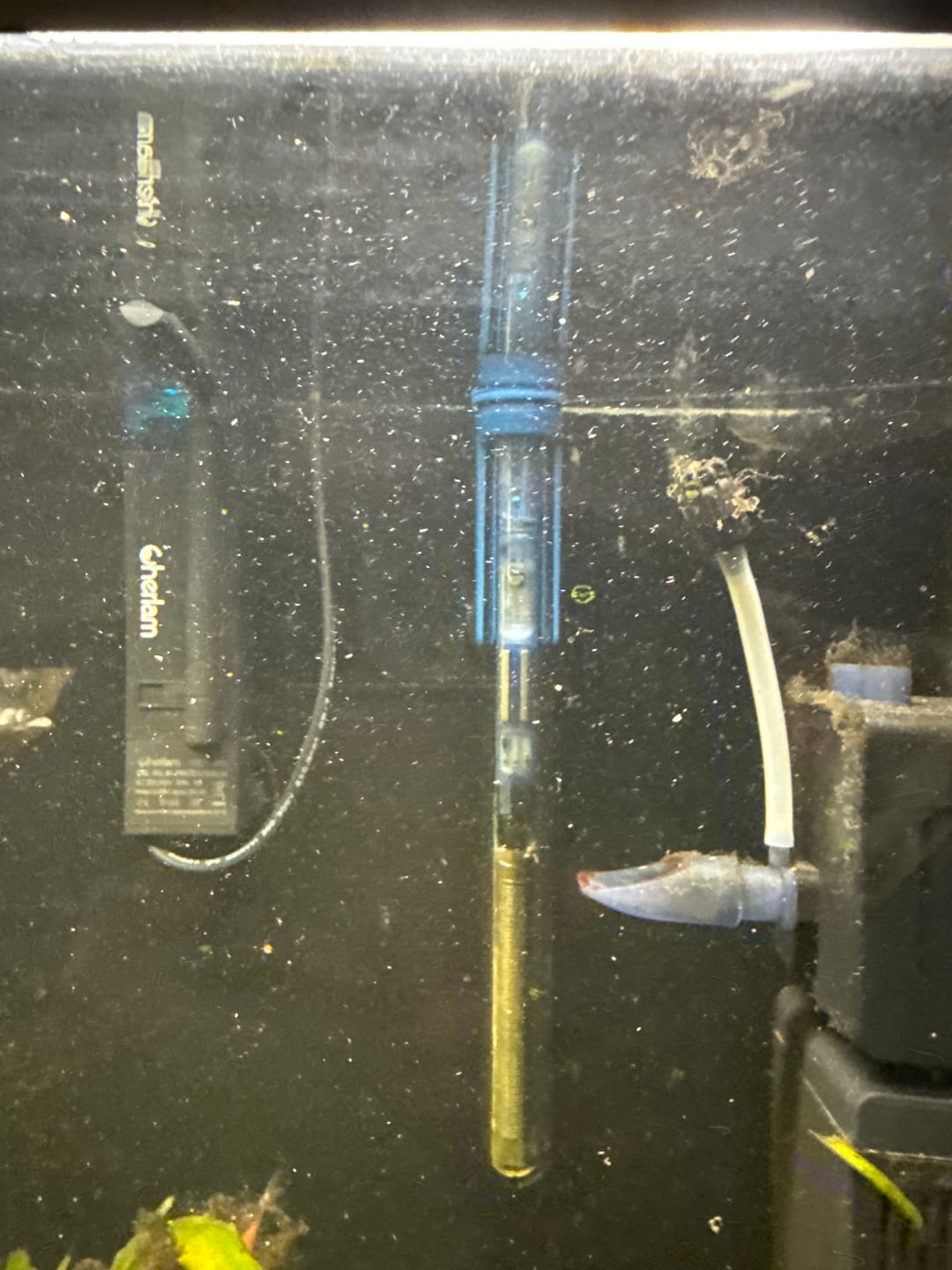 Customer photo review of Scuba Contactless Heaters