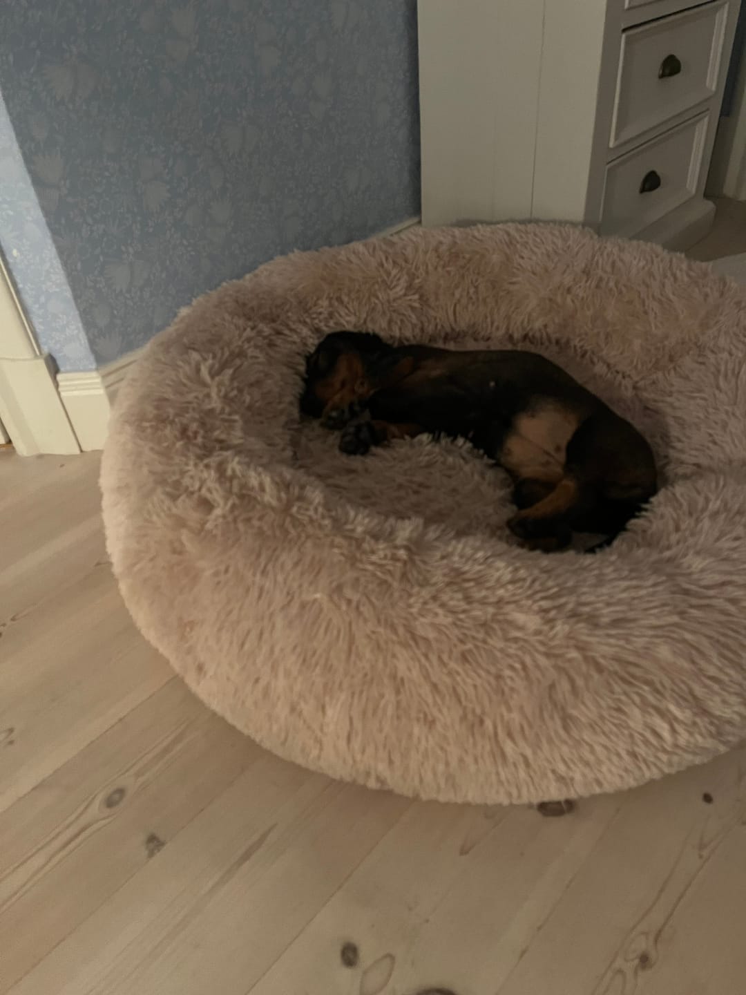 Customer photo review of CalmBed - Motverkar stress & hjälper mot ångest