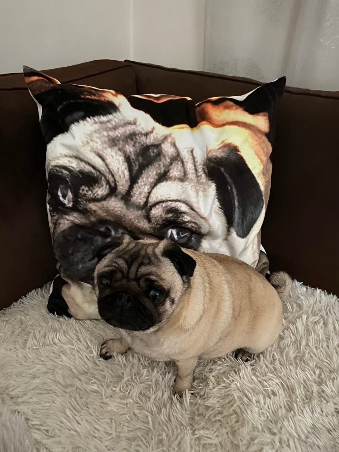 Customer photo review of Avec photo - Coussin personnalisé