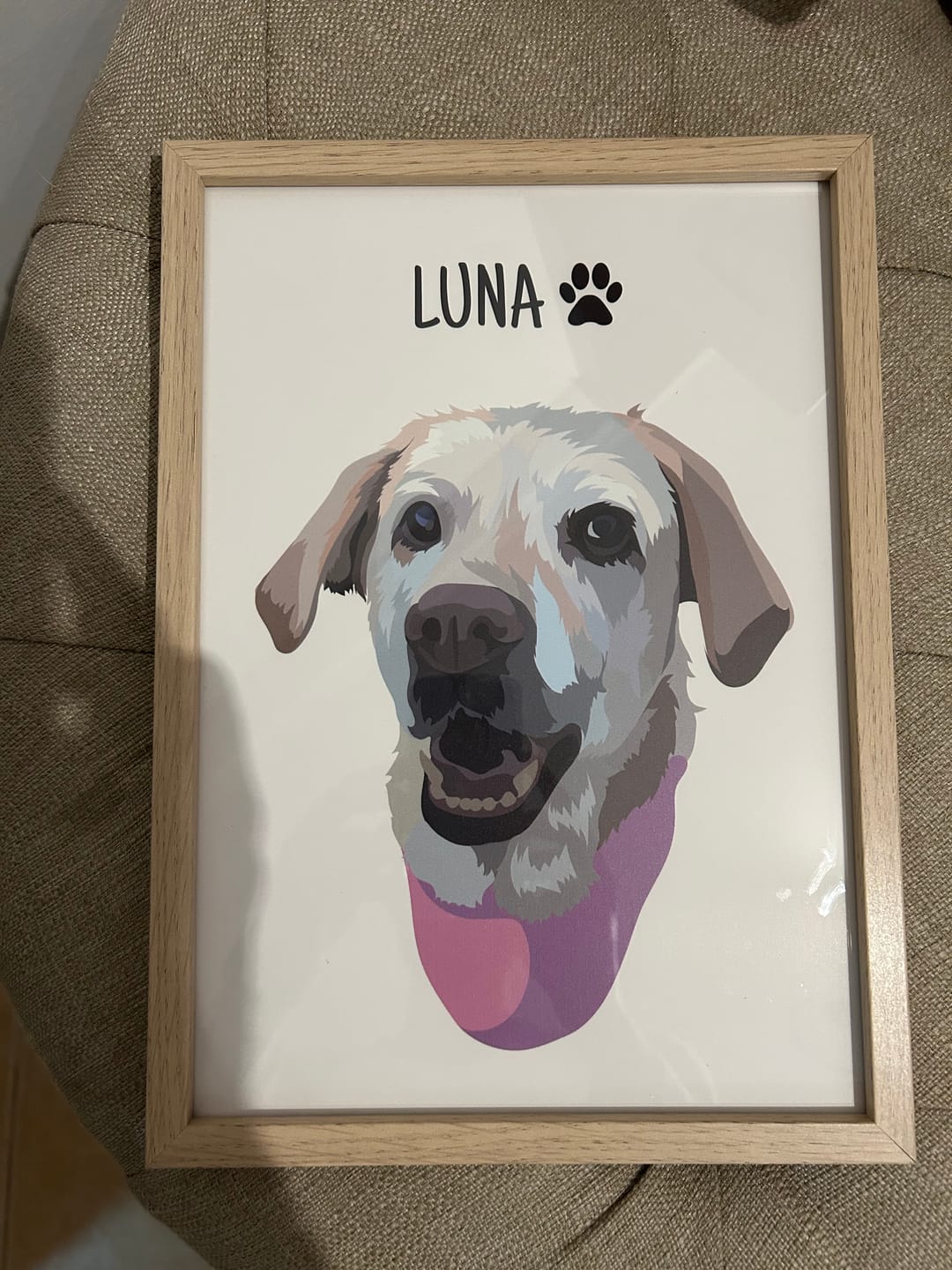 Customer photo review of Quadro Retrato Colorido (1 Animal)