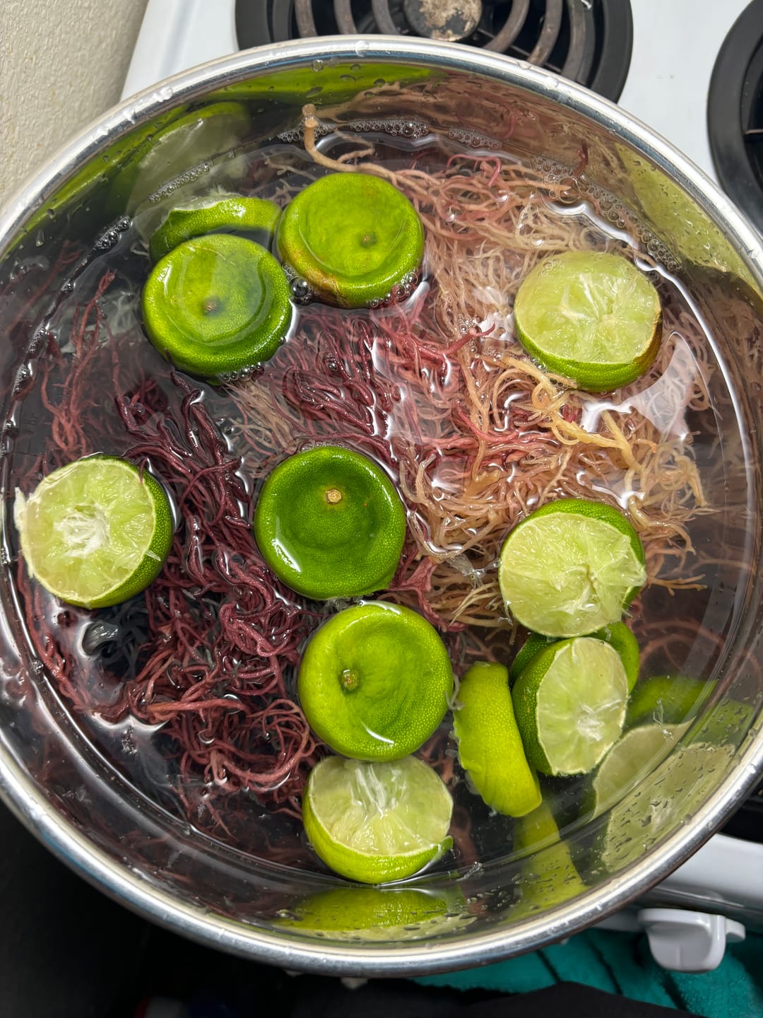 Customer photo review of Full Spectrum Irish Sea moss