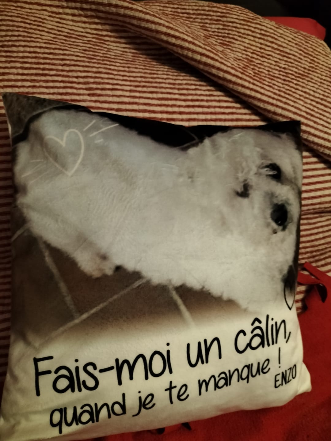 Customer photo review of Fais moi un câlin quand je te manque - Coussin personnalisé