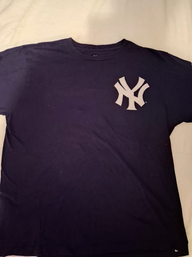Customer photo review of Wholesale Pro Sports T-shirts