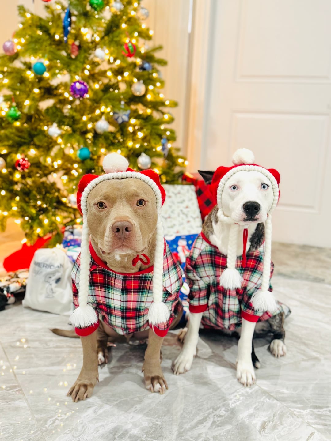 Customer photo review of Human Pompom Hat - Santa