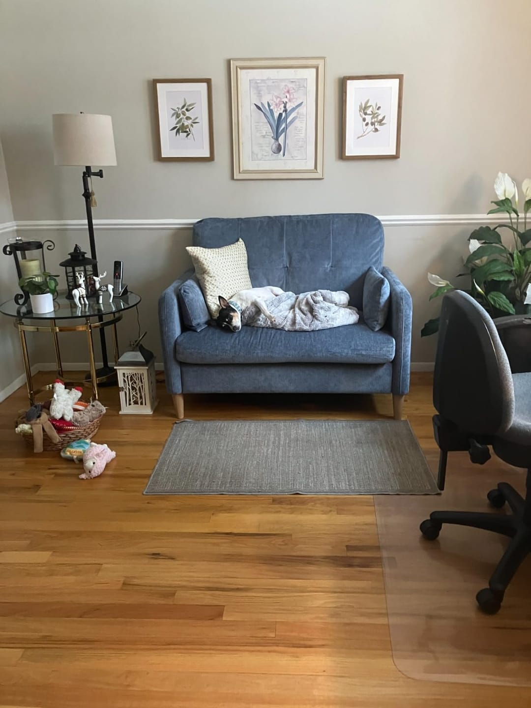 Customer photo review of 47” Small Loveseat Sofa (5 Colors)