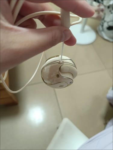 Customer photo review of TranslateBuds (iOS & Android)