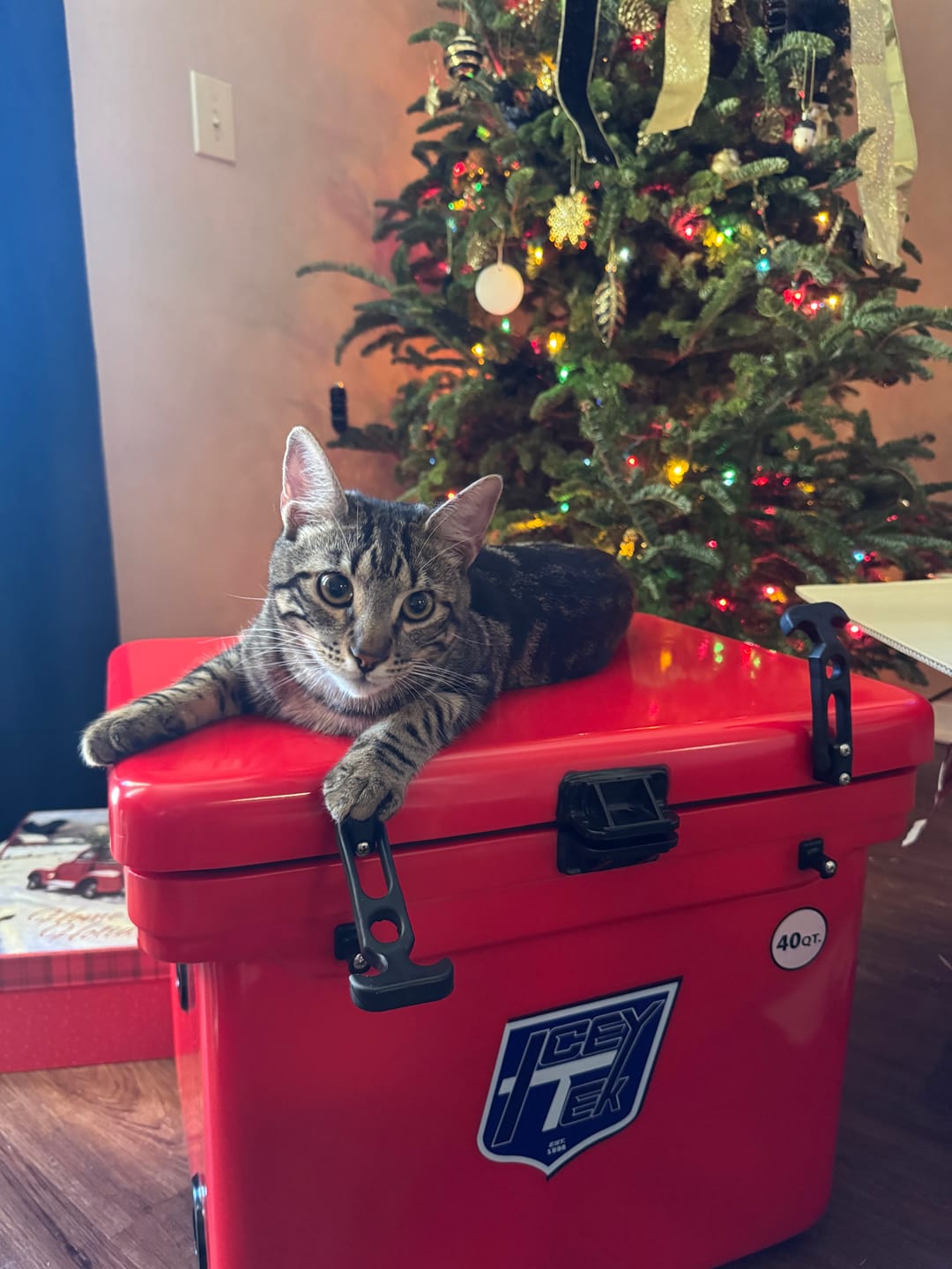Customer photo review of ICEY-TEK 40 Quart Cooler