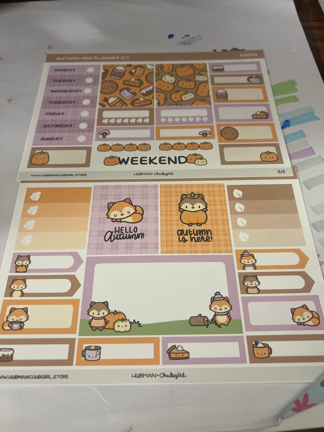 Customer photo review of Autumn Mini Planner Kit (Set of 2)