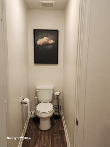 Customer photo review of Vintage Cloud Print