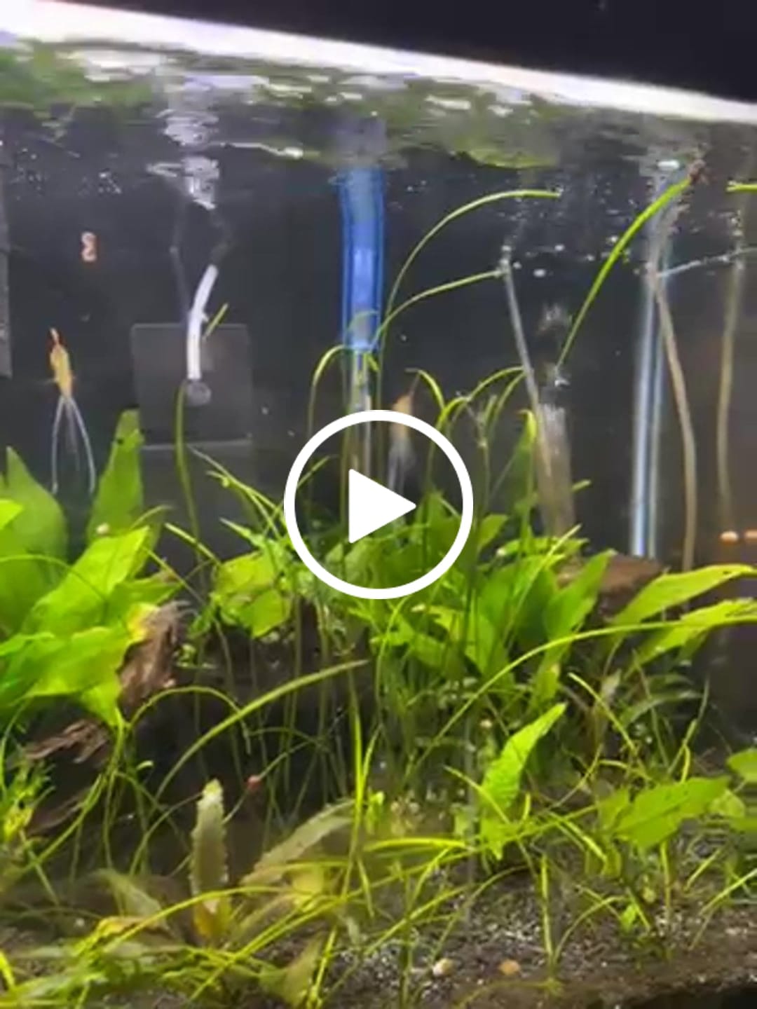 Customer video review of Scuba Contactless Heaters