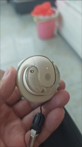 Customer photo review of TranslateBuds (iOS & Android)