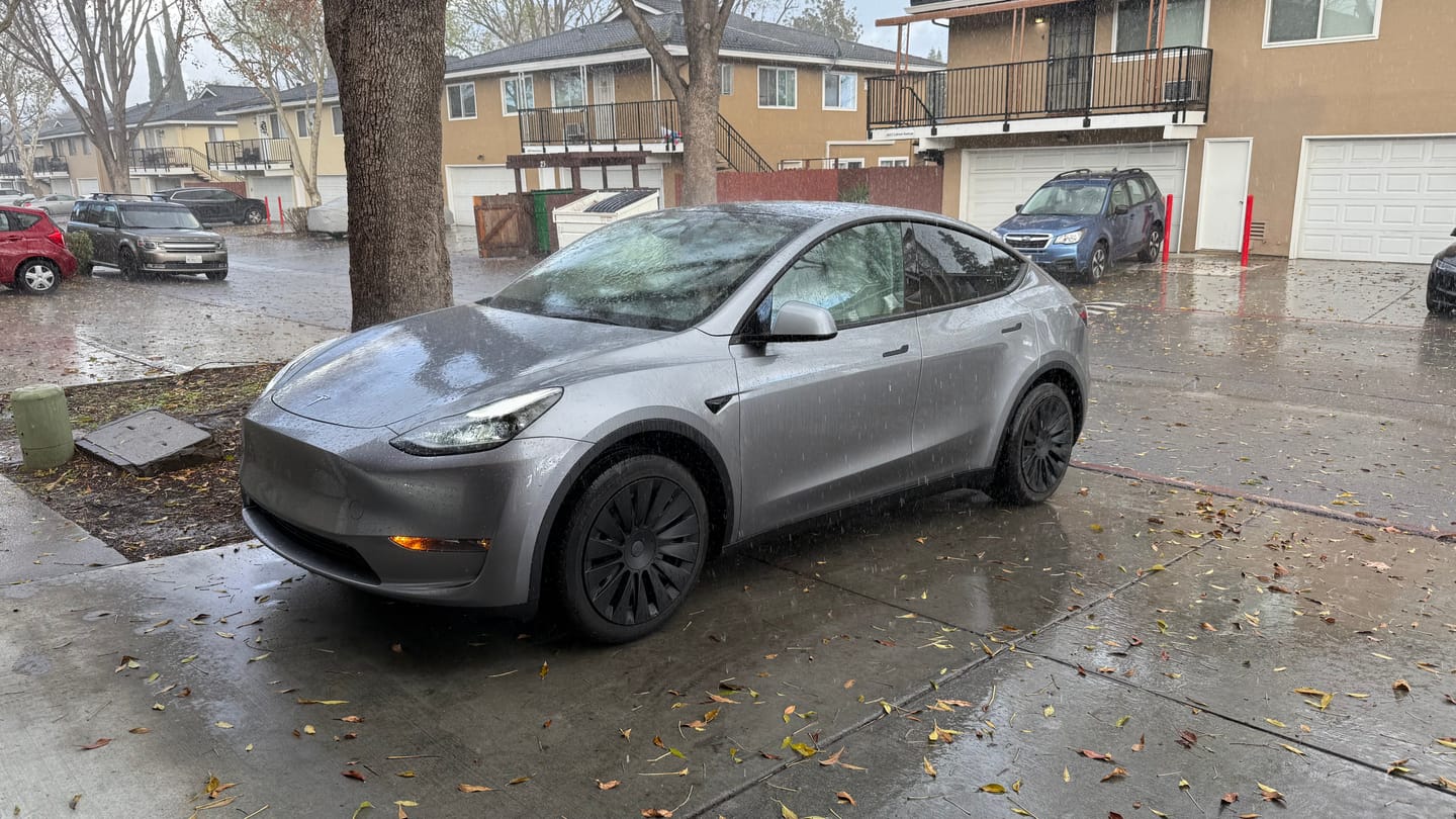 Customer photo review of TESPLUS 19'' Blade Style Wheel Cover for Model Y