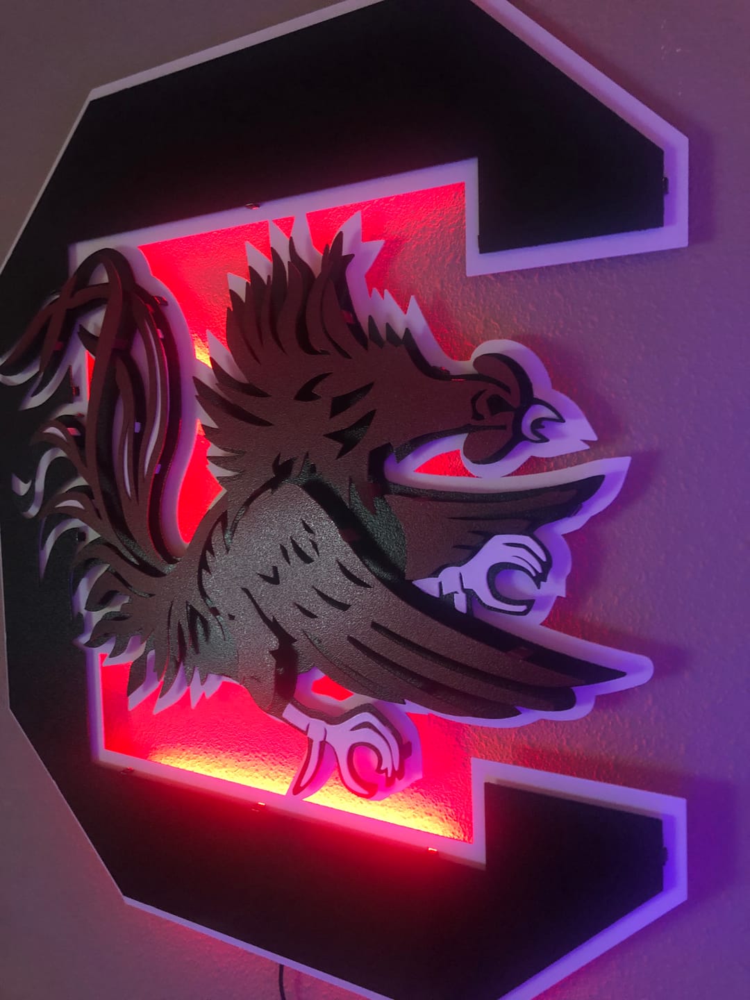 Customer photo review of South Carolina Gamecocks "Block C" 3D Vintage Metal Wall Art