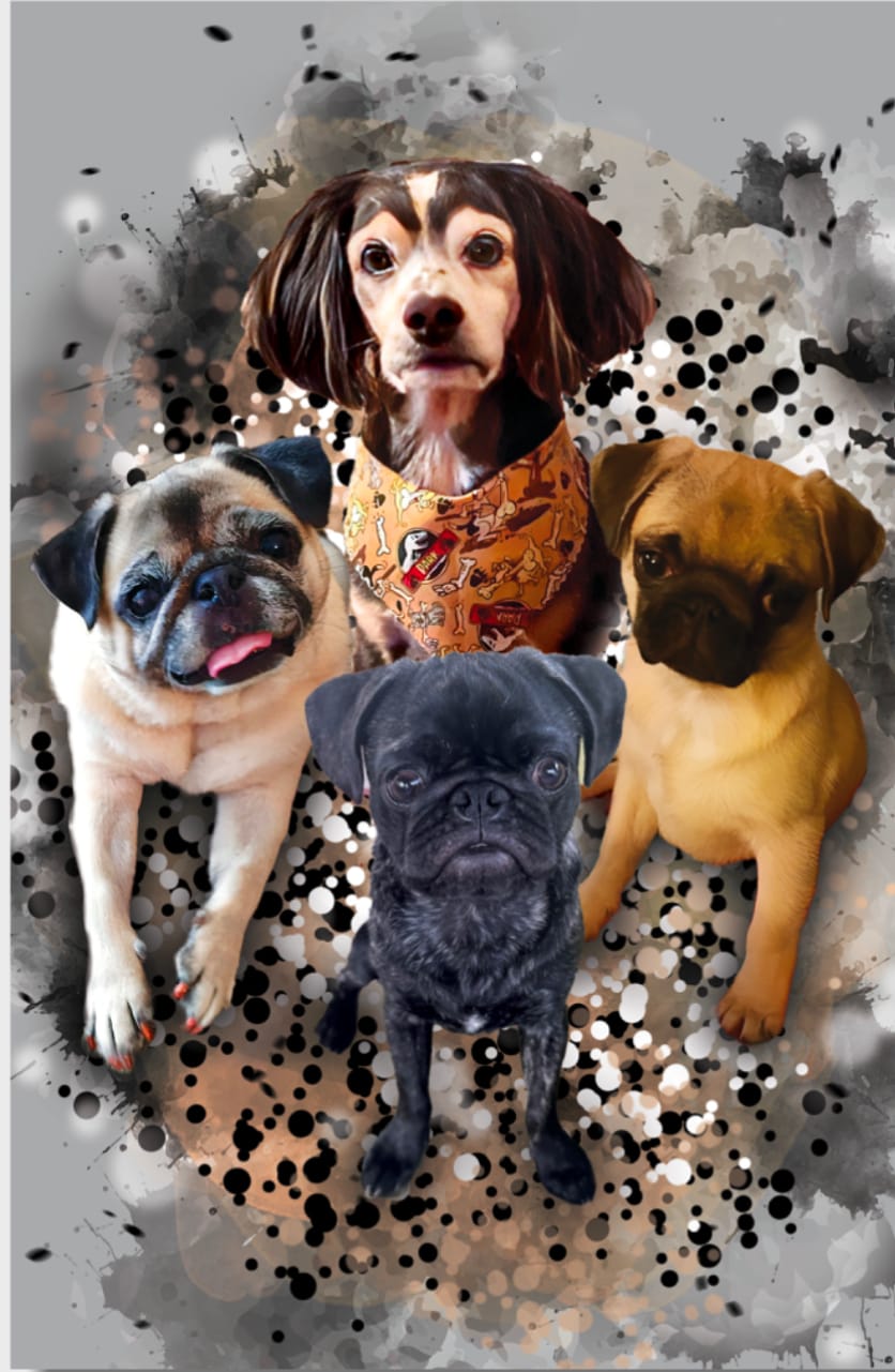 Customer photo review of Personalized Pet Art - Canvas