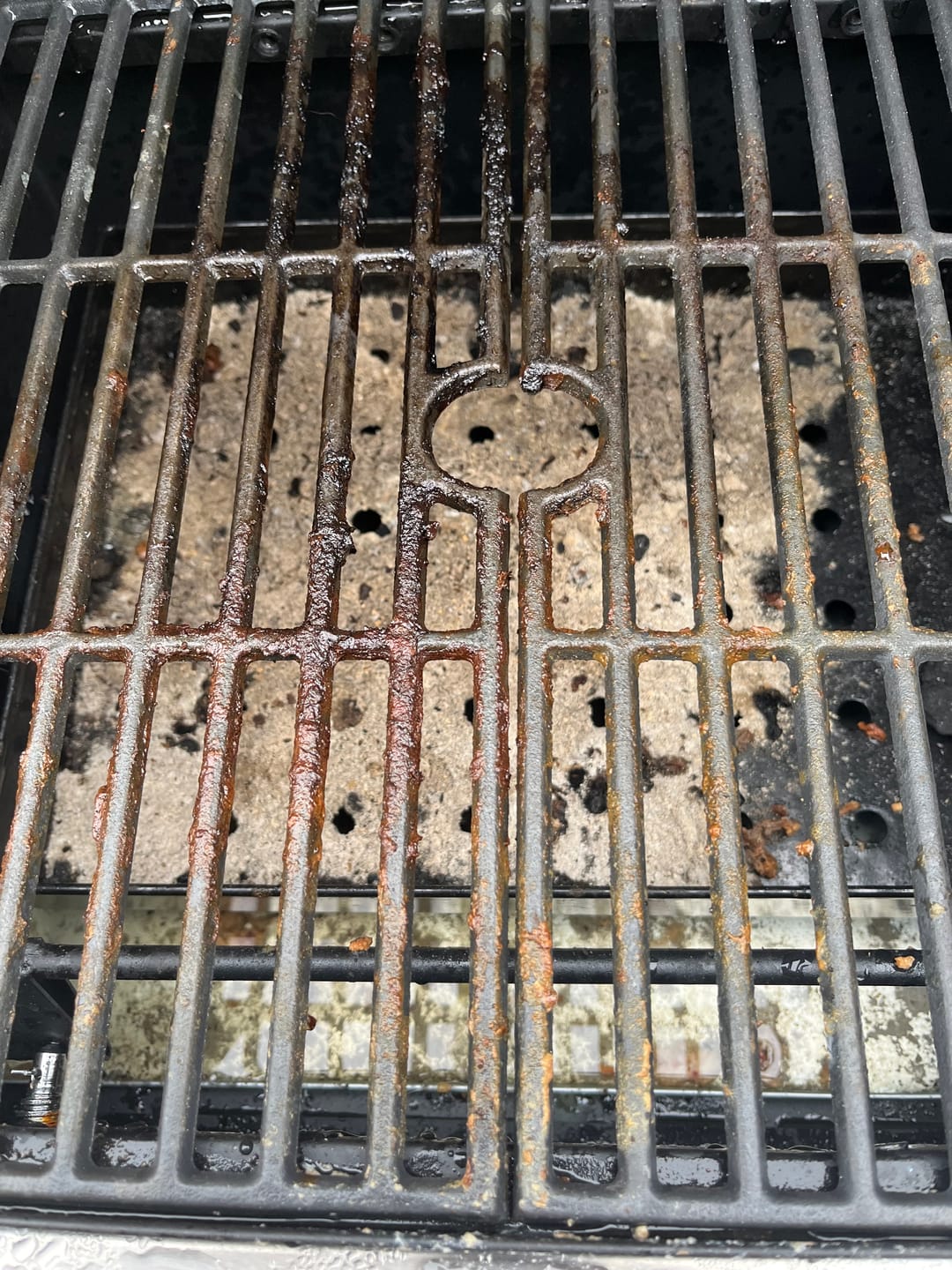 Customer photo review of Black Grillbot & Case Bundle