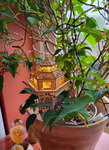 Customer photo review of Woodland Outpost