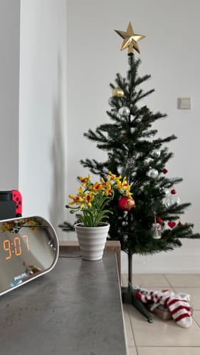 Customer photo review of Handmade Decorative Artificial Plant+Planter Pot P00676-Yellow