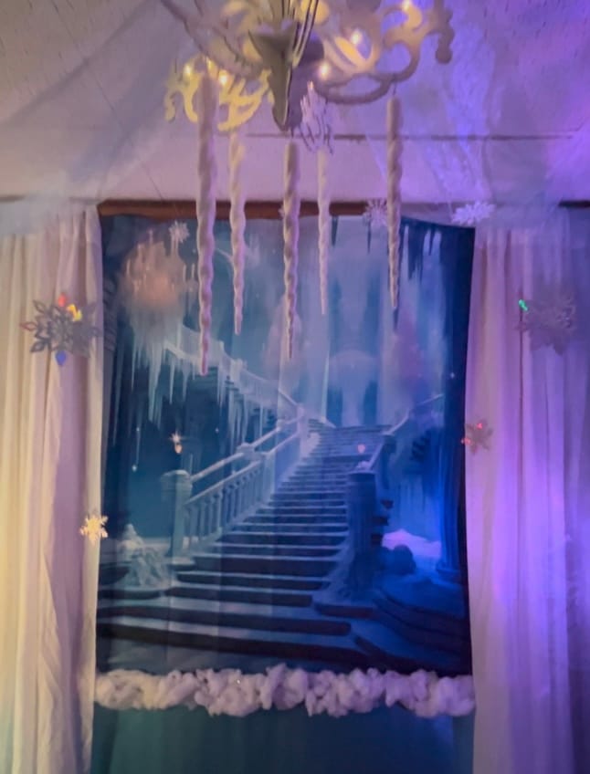 Customer photo review of Elsa's Frozen Castle Stairs Photo Backdrop