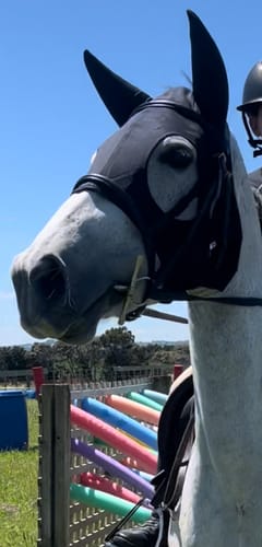 Customer photo review of Lami-Cell Come Best Titanium Hood - with Ears